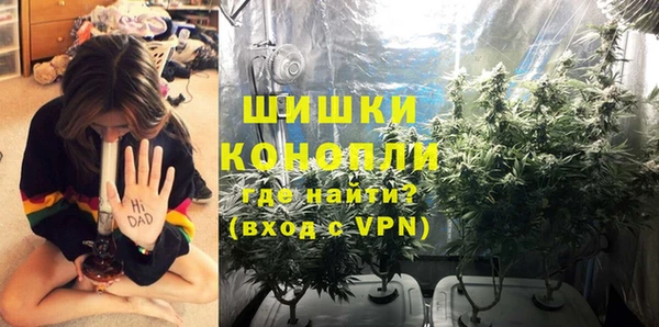 гидропоника Кукмор