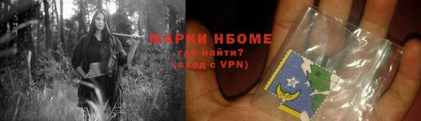 сатива Кулебаки