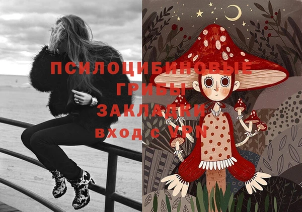 гидропоника Кукмор
