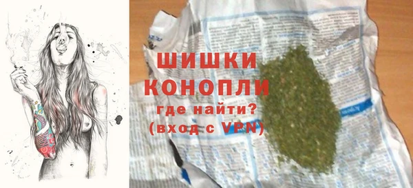 сатива Кулебаки
