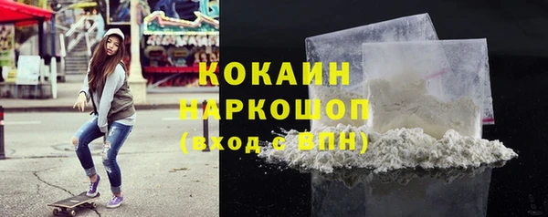 сатива Кулебаки