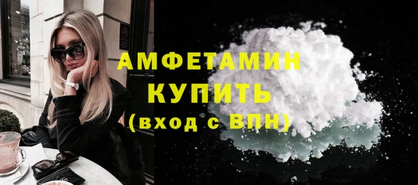 сатива Кулебаки