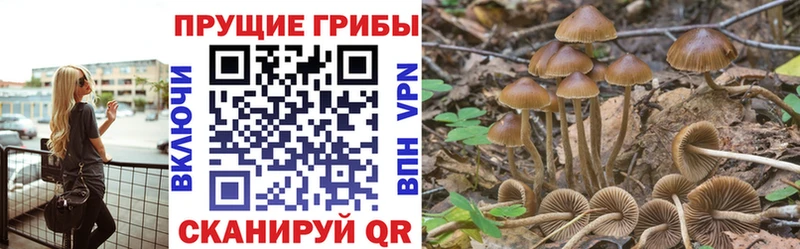 Псилоцибиновые грибы Magic Shrooms  купить  цена  Медвежьегорск 