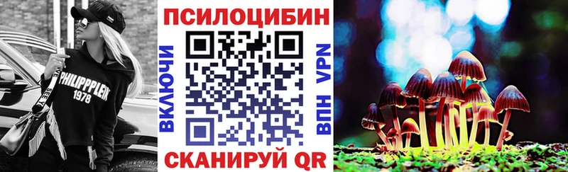 Галлюциногенные грибы Psilocybine cubensis Медвежьегорск