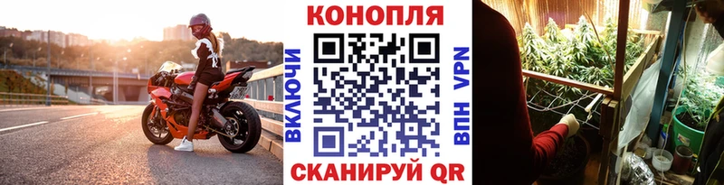 Конопля семена  где найти наркотики  кракен вход  Медвежьегорск 
